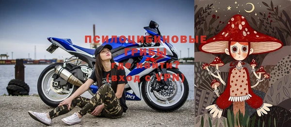 дмт Аркадак