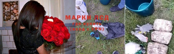 дмт Аркадак